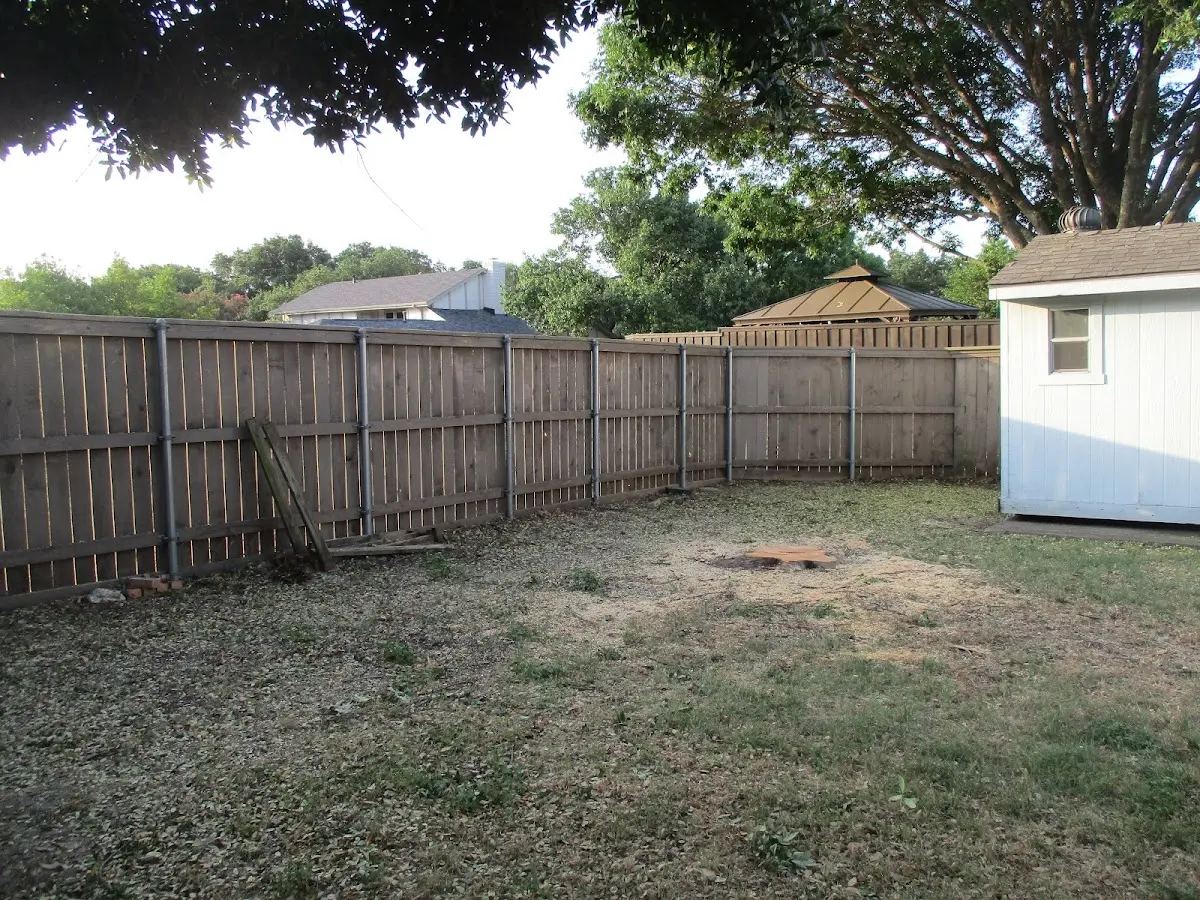 Cleared yard after professional tree removal in Hamilton City